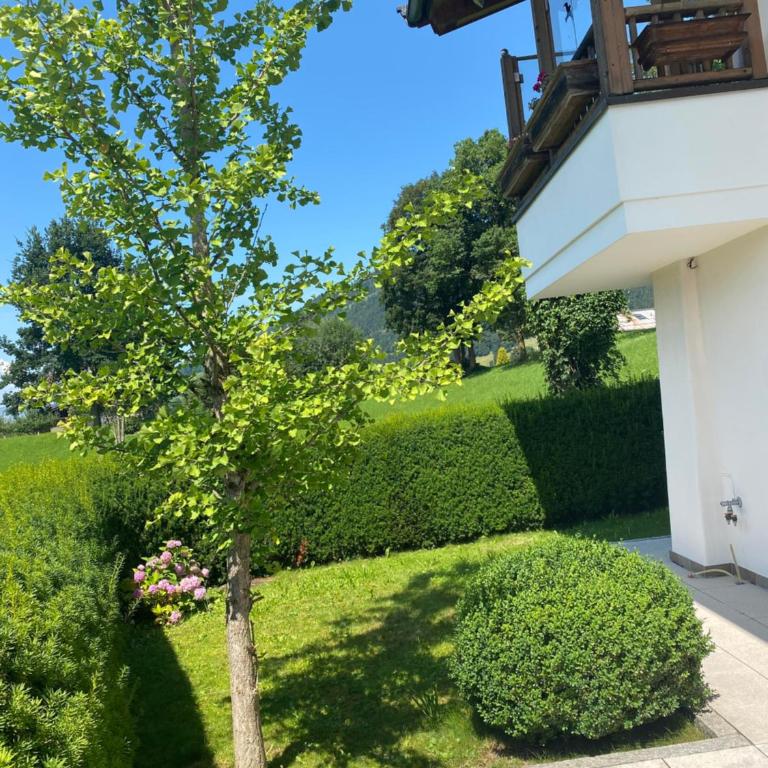 Casa45 - Apartment mit 2 Schlafzimmern und Dusche - 35