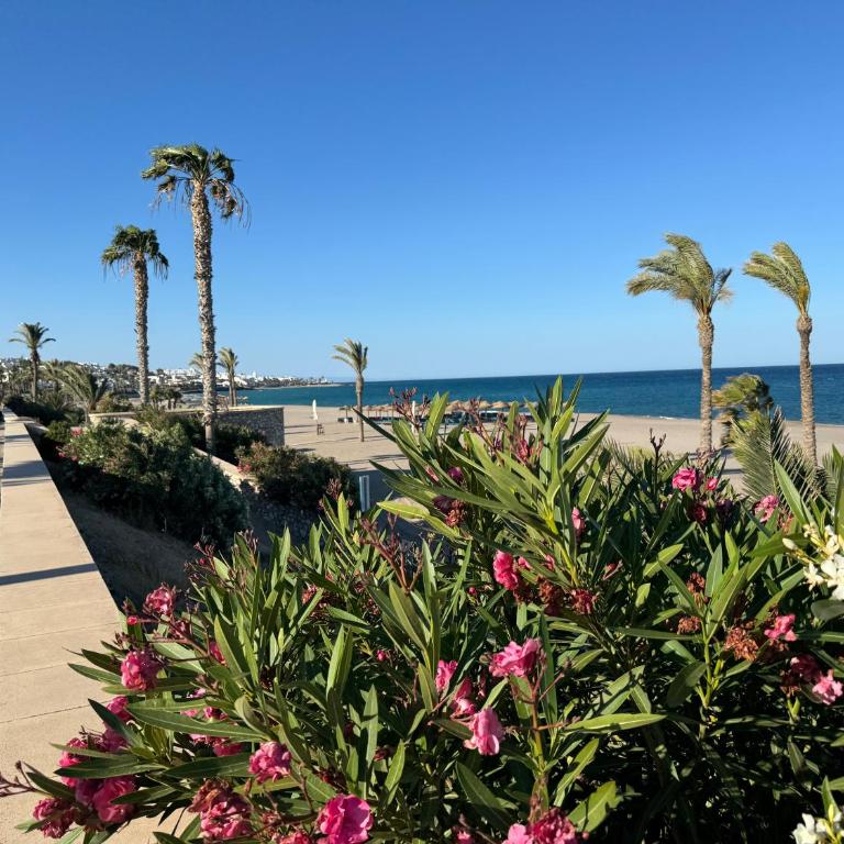 Panoramic Atalaya - Apartment mit 3 Schlafzimmern - 32