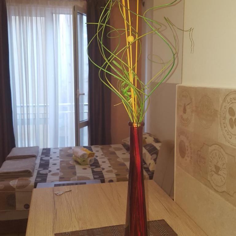 Apartments Anastasija - Studio Apartman - 1