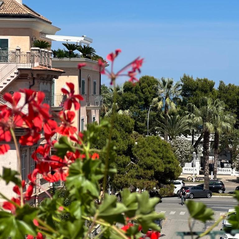 Appartamenti La Barchetta - Appartamento al Piano Terra - 6