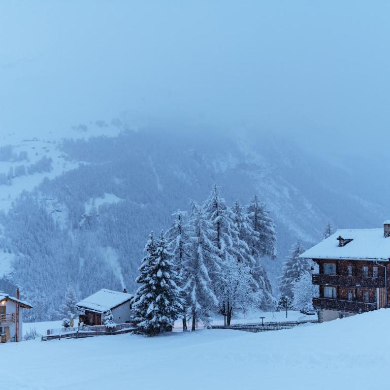 Chalet authentique avec vue panoramique, La Sage - Chalet mit 3 Schlafzimmern - 36