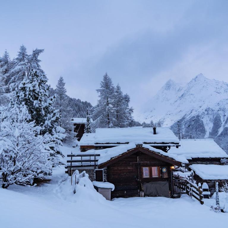 Chalet authentique avec vue panoramique, La Sage - Chalet mit 3 Schlafzimmern - 40