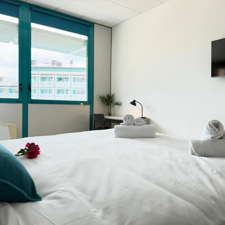 Dall'Ara Bologna Living - San Luca - Stadium - Two-Bedroom Apartment - 6
