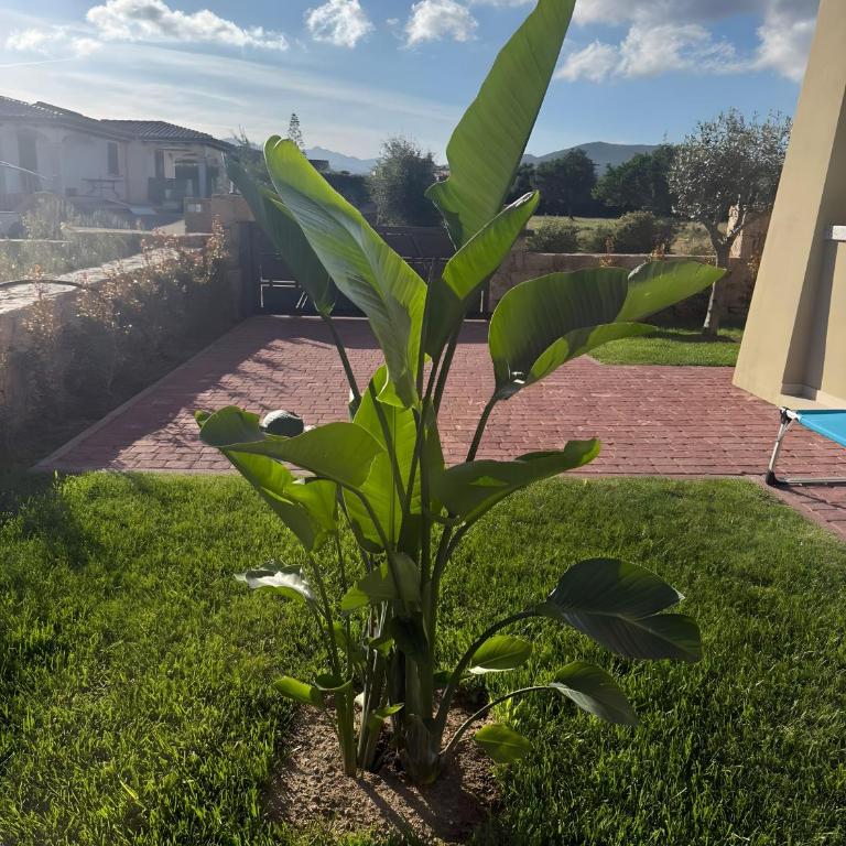 Siren's Cove Retreat - Appartamento Deluxe con 2 Camere da Letto e Vista Giardino - 25