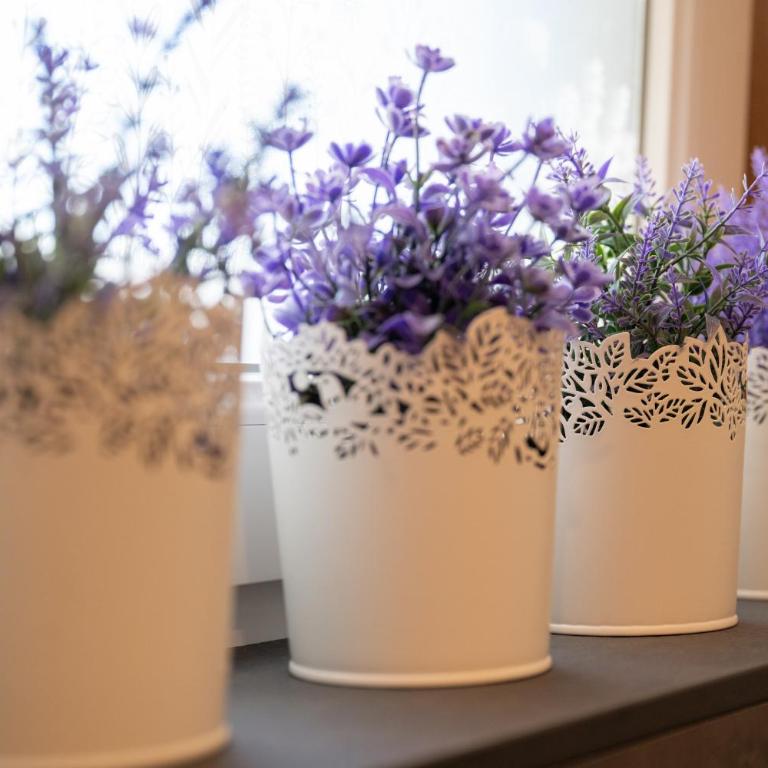 Seefeld ALPIN Apartments - Deluxe Apartment - 18