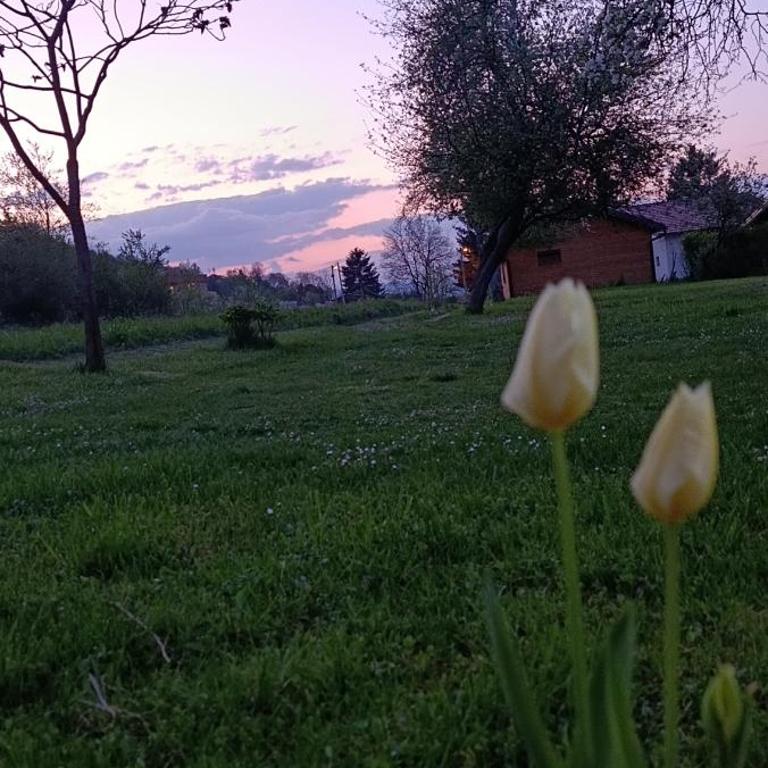 Sweet Home Visoko FREE PARKING, AC, RENT A CAR - Haus mit 2 Schlafzimmern - 5