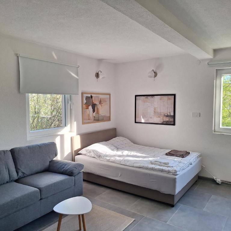 Braun Apartments - Apartman sa 1 Spavaćom Sobom - 3