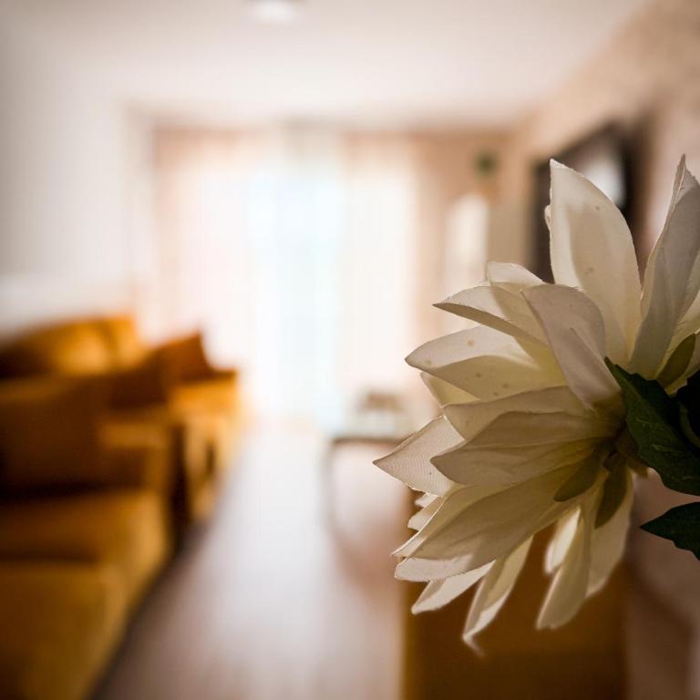 Apartamento poniente zahara 217 - Two-Bedroom Apartment - 8