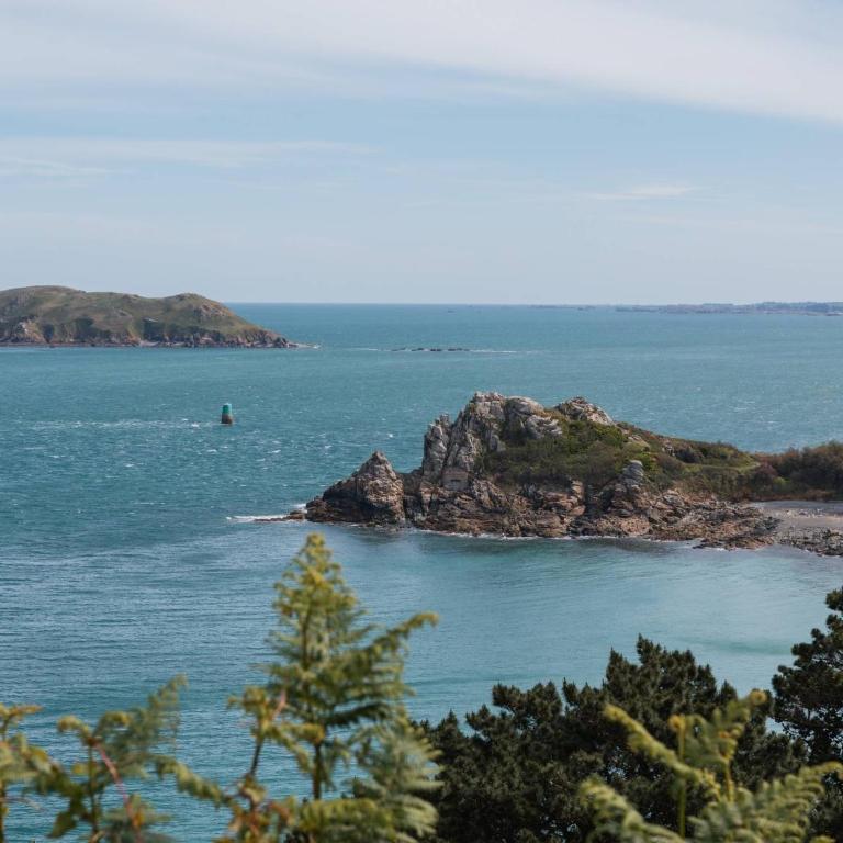 Au point de vue - Grand Gîte - Maison de Vacances - 33