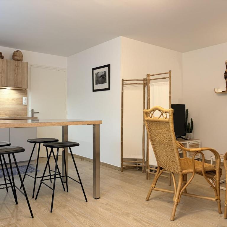 Appartement Camélias - 100m plage - One-Bedroom Apartment with Garden - 4