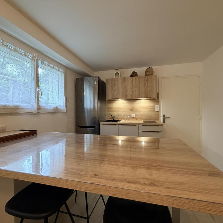 Appartement Camélias - 100m plage - One-Bedroom Apartment with Garden - 5