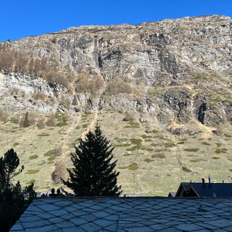 Central apartment in Zermatt - Apartment mit 1 Schlafzimmer - 12