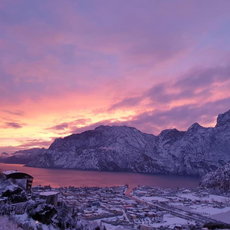 Airone-Garda lake panorama - Appartamento con 1 Camera da Letto - 37