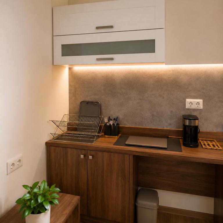 Alpine Studio near Bad Ischl - Apartment mit 1 Schlafzimmer - 3