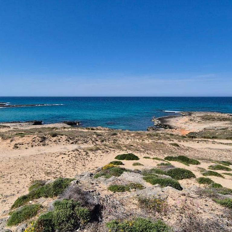 PugliaMia Casa - Sea view terrace, 3 bedroom, 2 bathroom - Appartamento con 3 Camere da Letto - 53