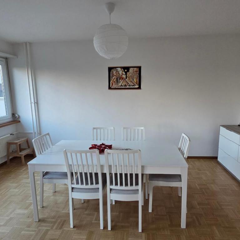 133 sqm 3 bedroom Apartment in Geneva - Appartement 3 Chambres avec Balcon - 2