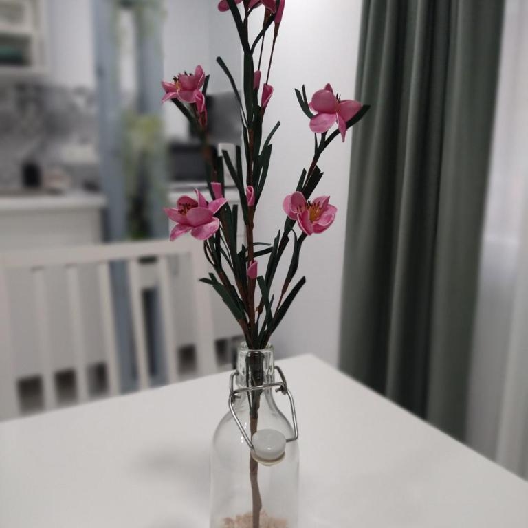 Central Estudio Torremolinos - Estudio 1 - Apartamento de 1 dormitorio - 25