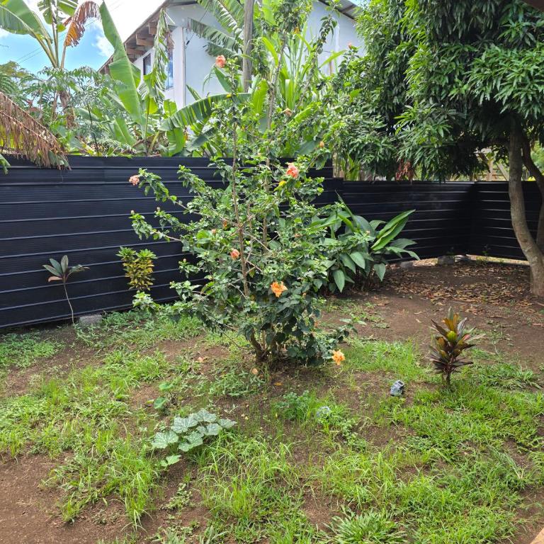Korurupa Accommodation - Casa de 3 dormitorios - 19