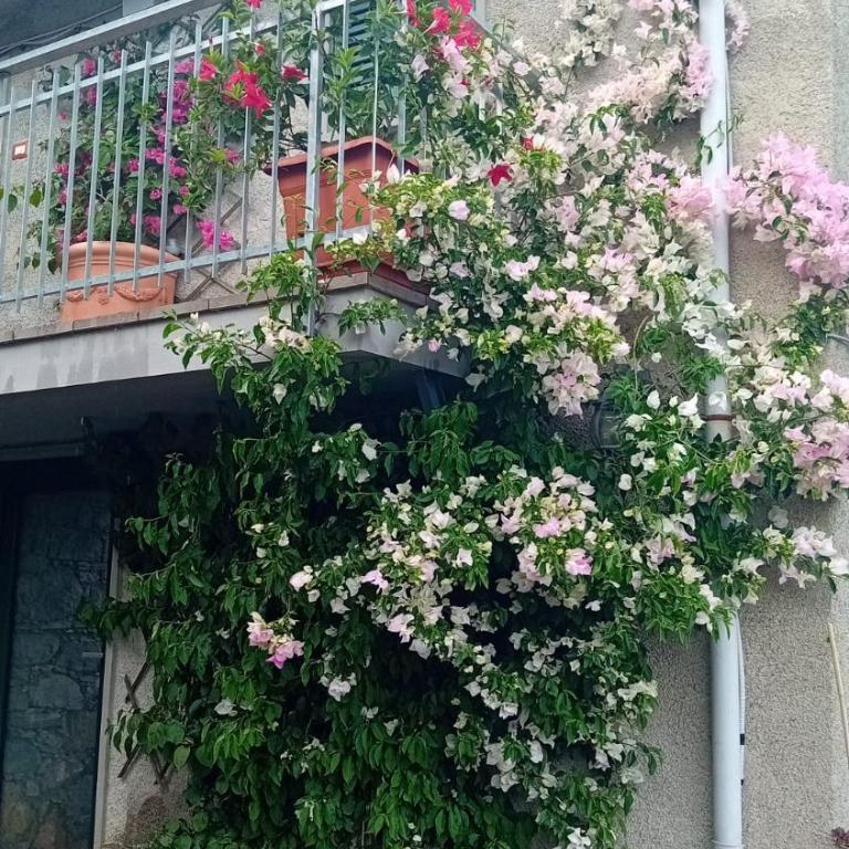 Terrazza dei Poeti - Casa Vacanze - 16