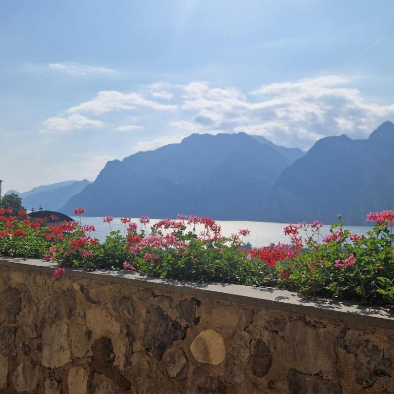 Airone-Garda lake panorama - Monolocale Standard - 19