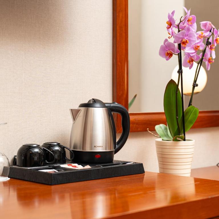 Hotel Montenegrino - Double or Twin Room - 8