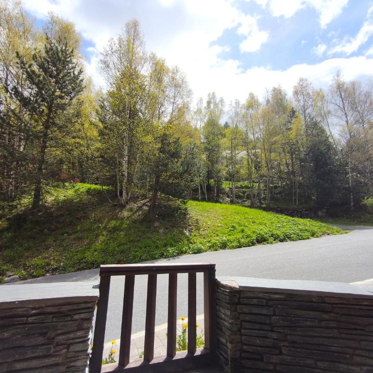 AC Apartaments Incles - Appartamento con 2 Camere da Letto e Terrazza - 11