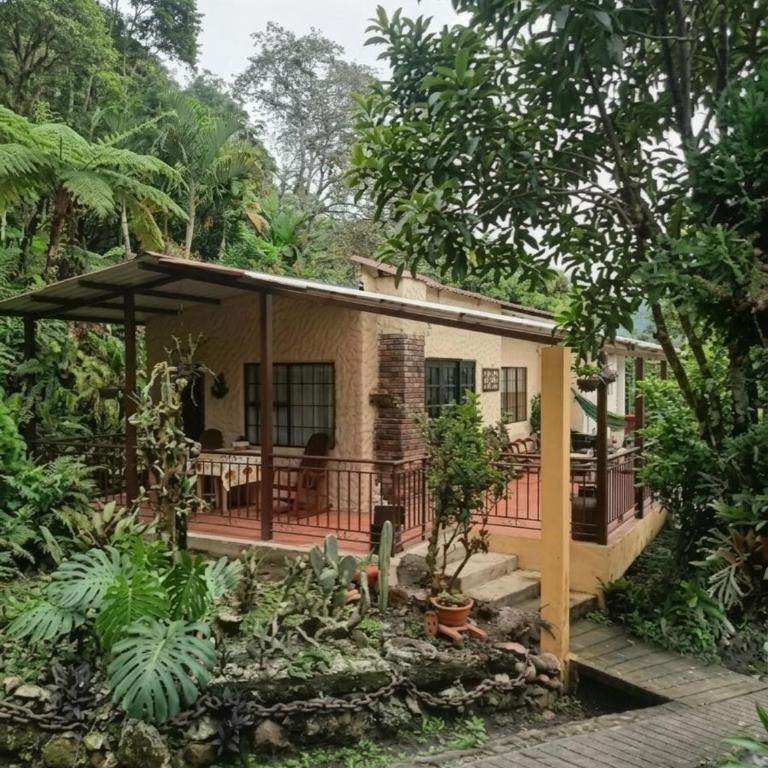 El Girasol alojamiento rural - Casa - 4