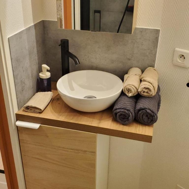 Le Terra Cottage - Studio in Clermont-Ferrand - One-Bedroom Apartment - 5
