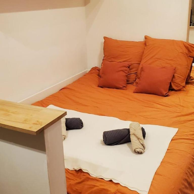 Le Terra Cottage - Studio in Clermont-Ferrand - One-Bedroom Apartment - 13