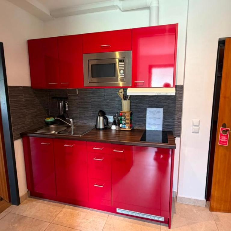 Alpine Studio with Indoor Pool & Spa included - 10 min from Hallstatt - Apartment - 2