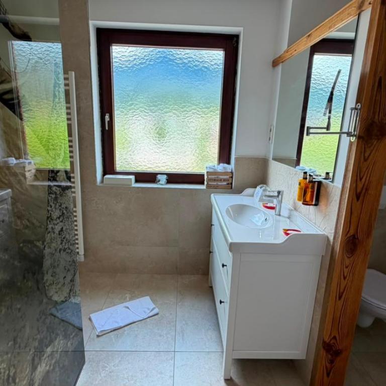 Alpine Studio with Indoor Pool & Spa included - 10 min from Hallstatt - Apartment - 5