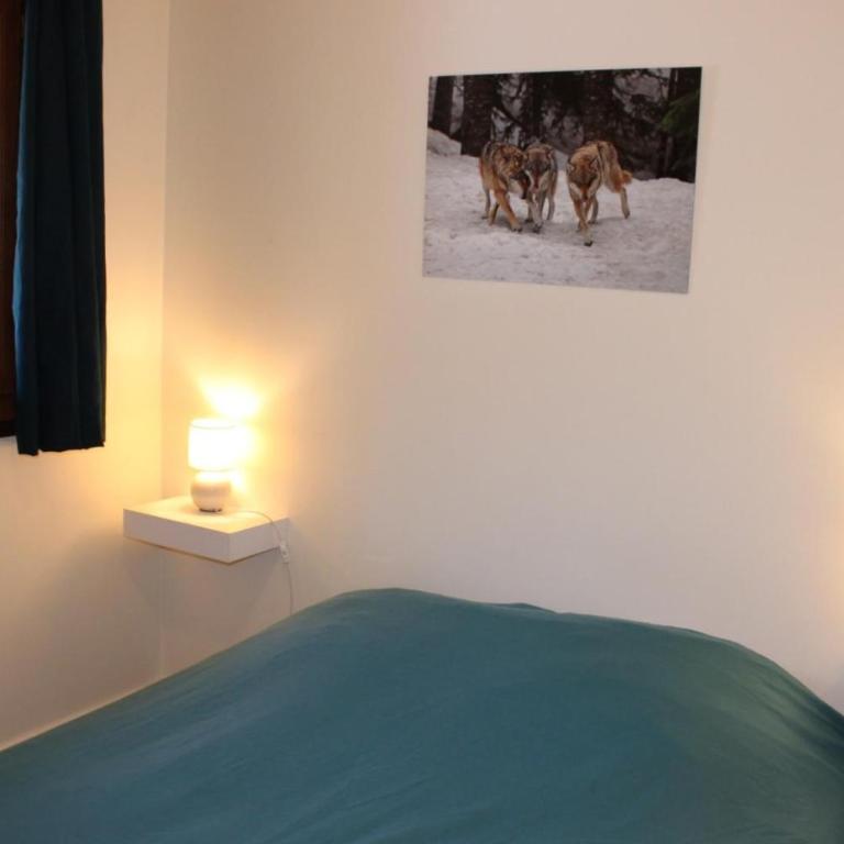 Les bouquetins - Maison 2 Chambres - 15