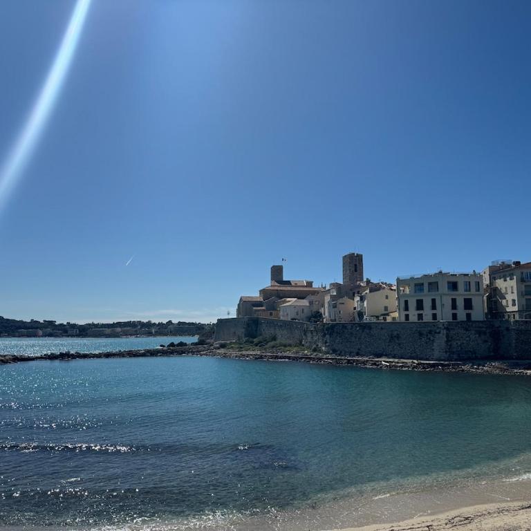 Charmant 2 pièces rue des Palmiers - Vieille ville d'Antibes - One-Bedroom Apartment - 2