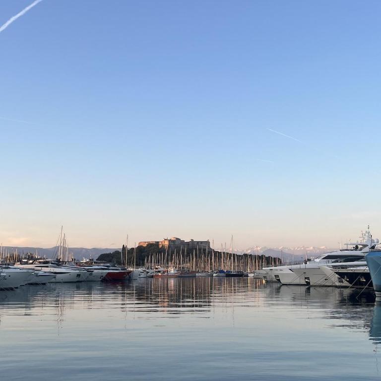 Charmant 2 pièces rue des Palmiers - Vieille ville d'Antibes - One-Bedroom Apartment - 17