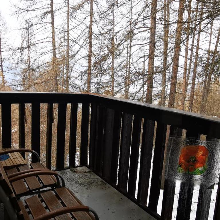 Studio cosy 4 personnes avec balcon Les Orres 1650 - Appartamento con 1 Camera da Letto - 2