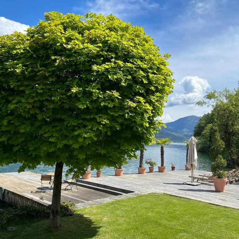 Lake Oasis - Apartment mit 1 Schlafzimmer - 17