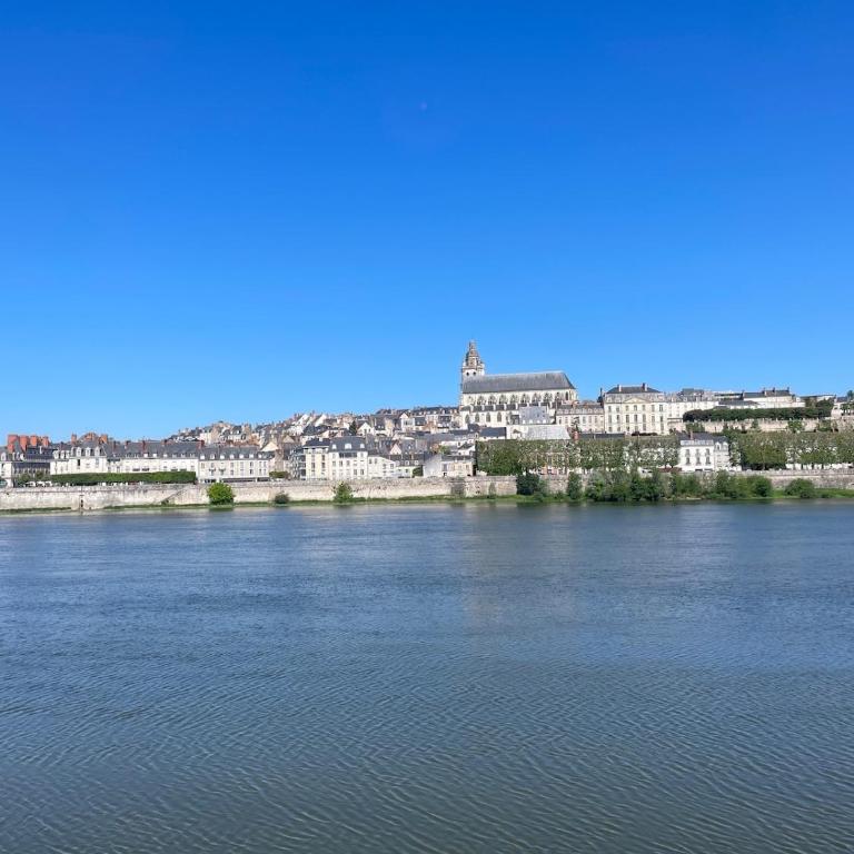 Le Fleuve Bleu - Loire, Châteaux et Zoo - Apartamento de 1 dormitorio - 6