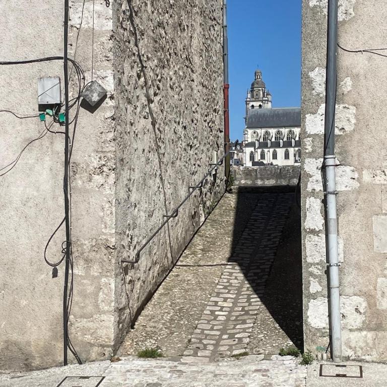 Le Fleuve Bleu - Loire, Châteaux et Zoo - Apartamento de 1 dormitorio - 11