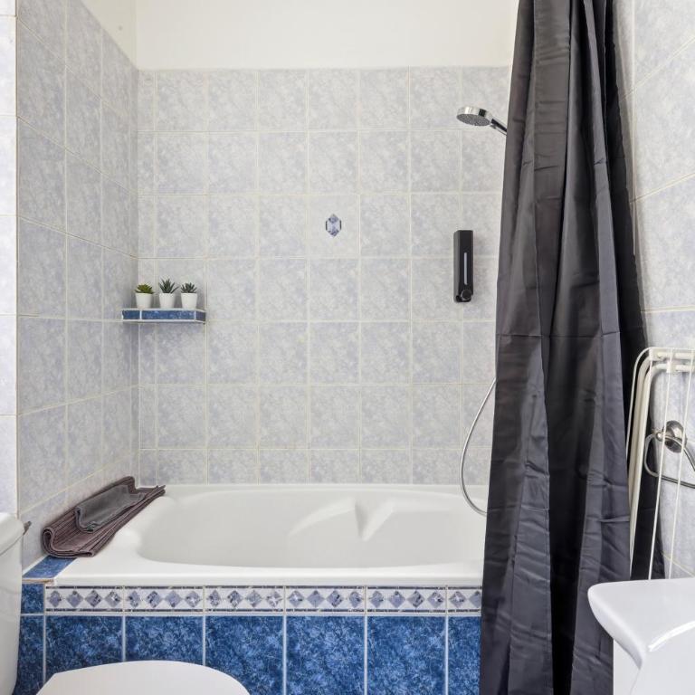 Lovely Studio in Upscale Paris 8th with Netflix - Studio - 13