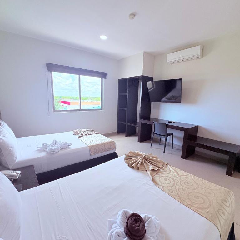 Elegante Suite Doble con Vista Panorámica - Double Room with Garden View - 1