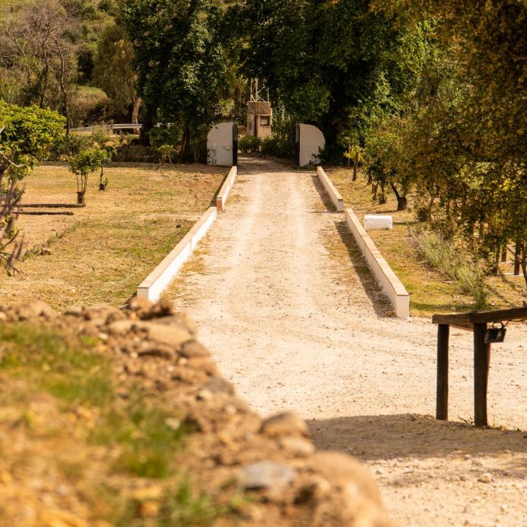 Finca Santa Teresa, Casa Grande - Casa de 4 dormitorios - 6