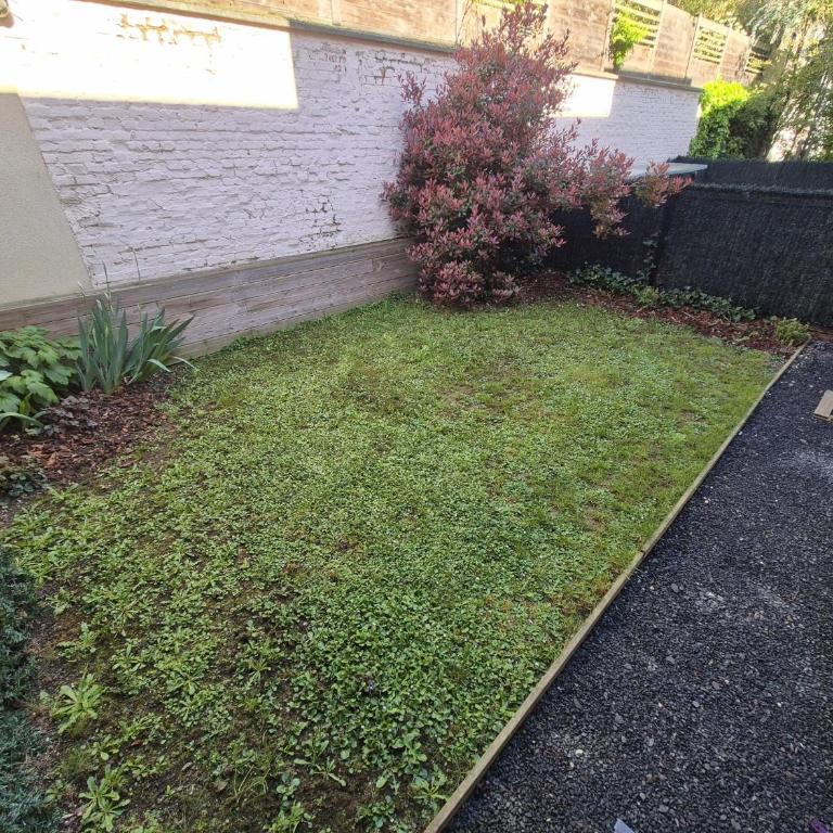 Hortillonne - Maison 2 Chambres - 36