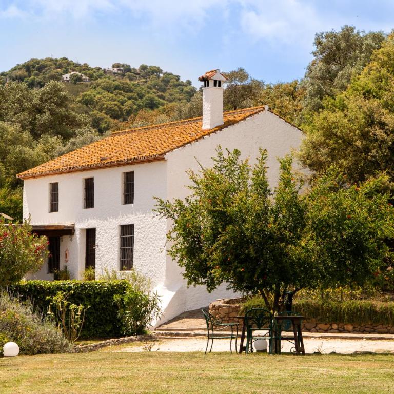 Finca Santa Teresa, Casa Grande - Casa de 4 dormitorios - 7