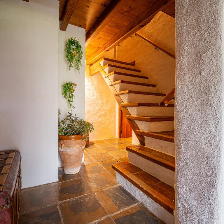 Finca Santa Teresa, Casa Grande - Casa de 4 dormitorios - 14
