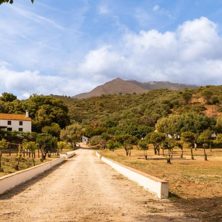 Finca Santa Teresa, Casa Grande - Casa de 4 dormitorios - 29