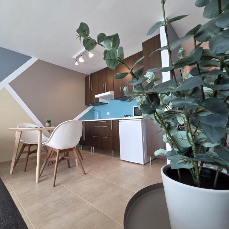 Los Lagos Loft Frente a la playa y patio privado - Apartamento de 1 dormitorio - 13