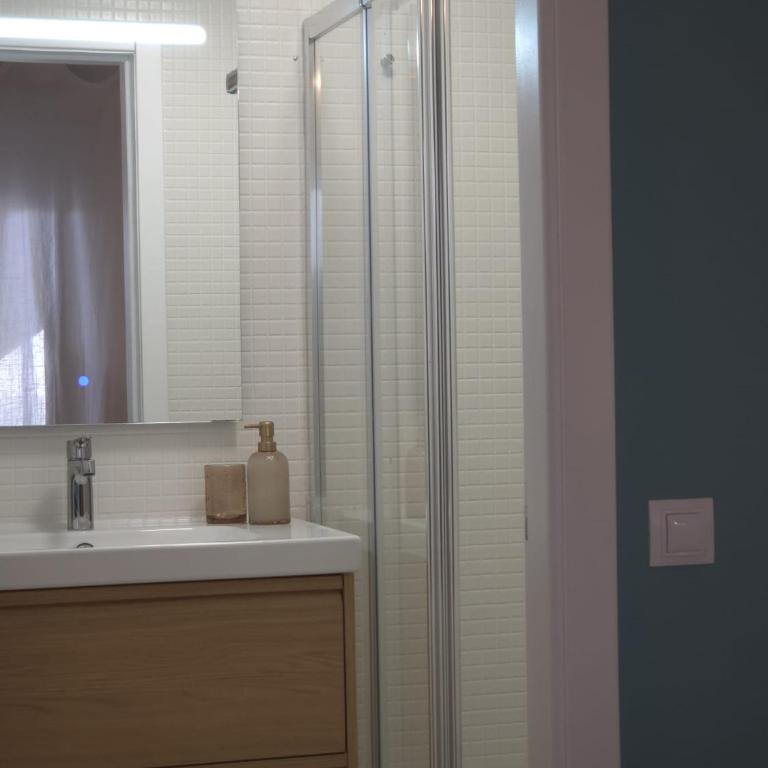 Los Lagos Loft Frente a la playa y patio privado - Apartamento de 1 dormitorio - 29