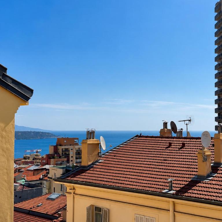 Cosy Renovated appartement Beausoleil - 1' Monaco - Appartement 2 Chambres - 3
