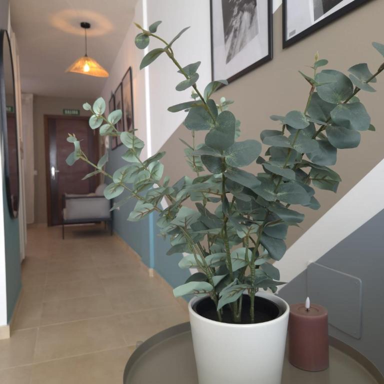 Los Lagos Loft Frente a la playa y patio privado - Apartamento de 1 dormitorio - 39