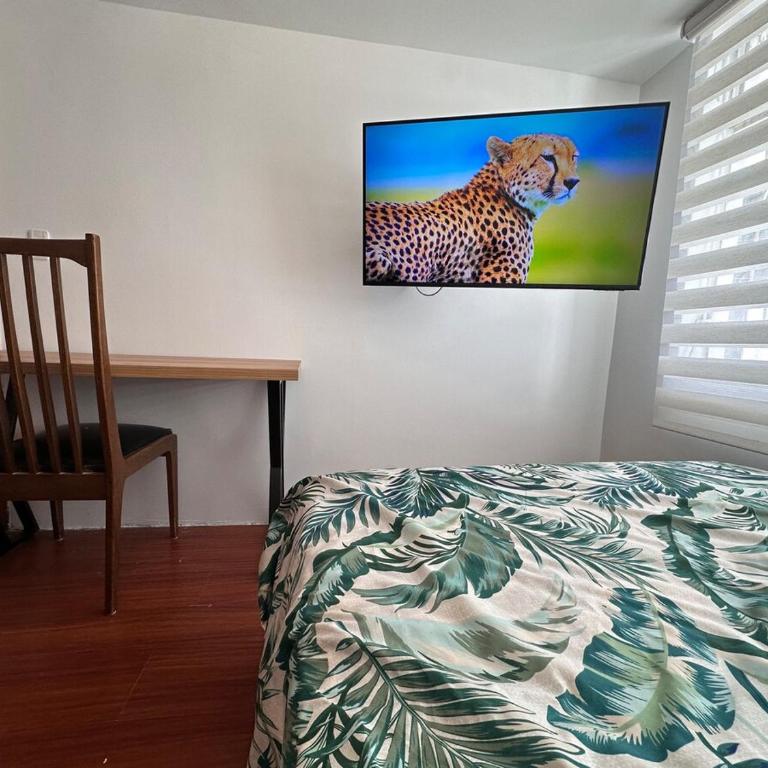 A 2-bedroom apartment - Apartamento de 2 dormitorios - 6